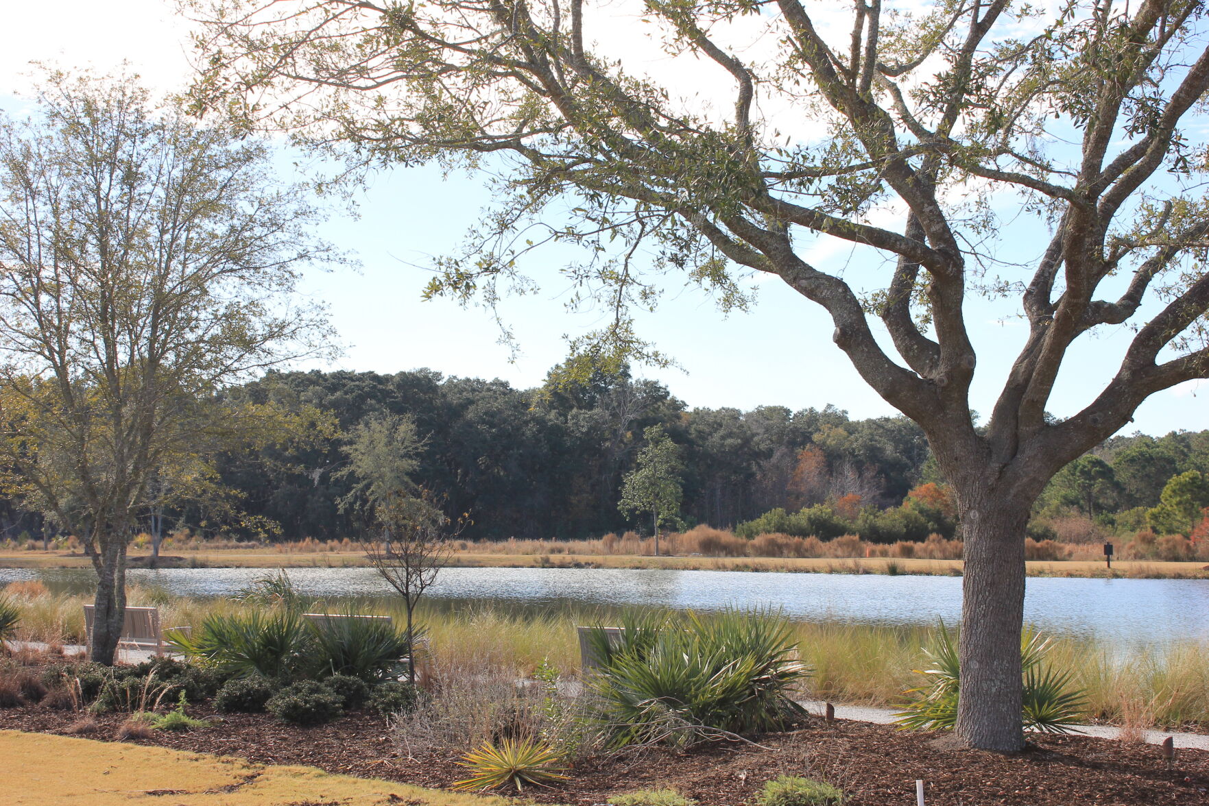KI River Jack Island Pond park sm